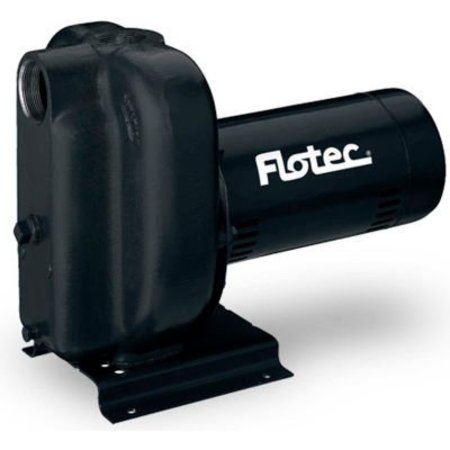 PENTAIR FLOW TECHNOLOGIES Flotec Cast Iron Sprinkler Pump 2 HP FP5252-00